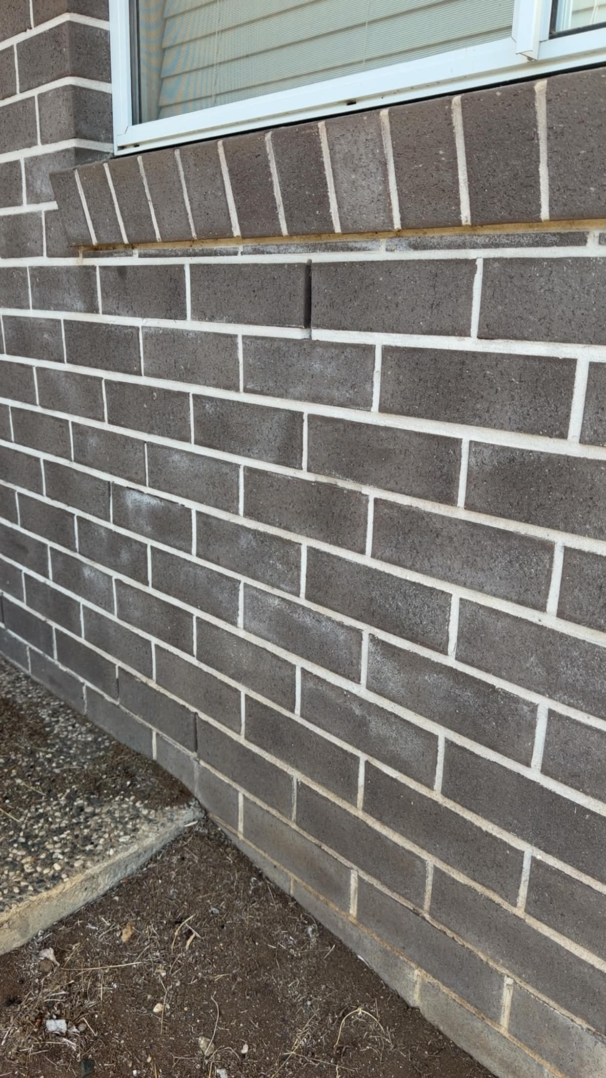 Brick wall exterior before cleaning