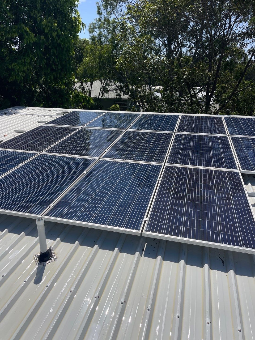 Roof and Solar Panel Cleaning